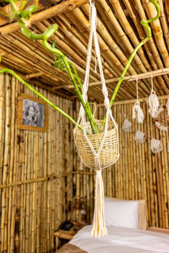 bali_26